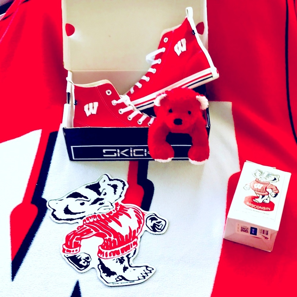 University of Wisconsin Badger Fans SKICKS NWT Sz 8 HIGH TOPS & XTRA